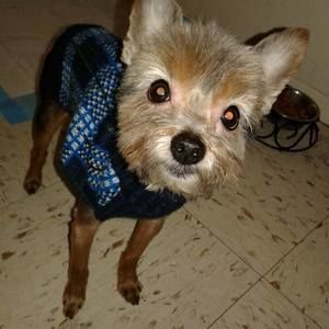 Meet your Posher, Donna